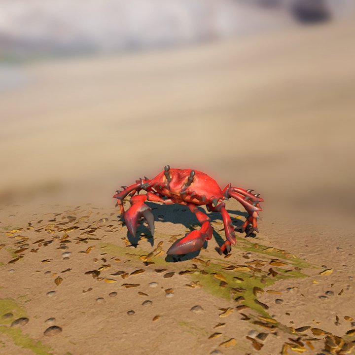 Crab