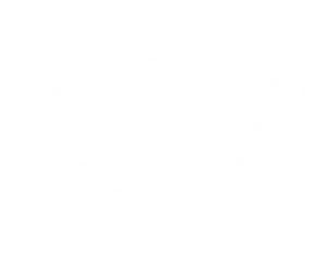 Brethren of The Coast