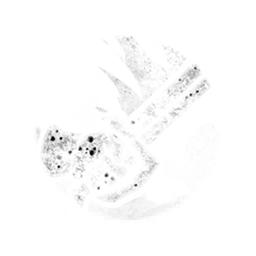 Surgical Cuts