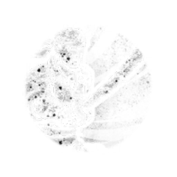 Disciplined Fencer