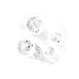 Bulletstorm