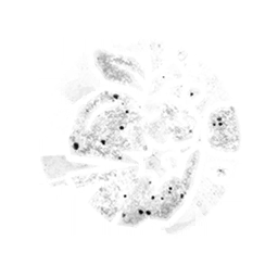 Bull's Eye