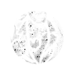 Stout Frame