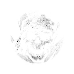 Too Angry to Die