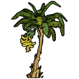 Banana Sapling