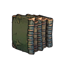 Row of Books