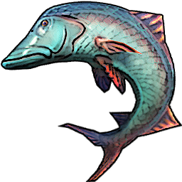 Large Barracuda