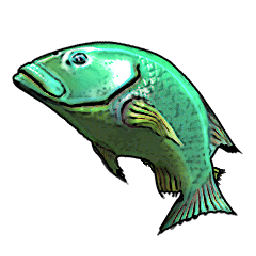 Emerald Bluefish