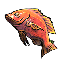 Red Snapper