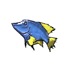 Blue Tang