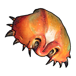 Crab Shell