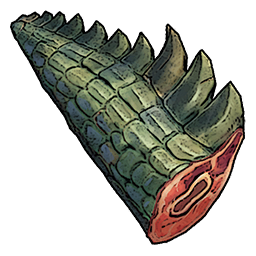 Crocodile Tail
