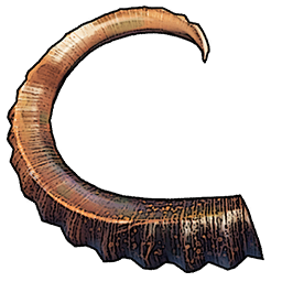 Mountain Goat Horn
