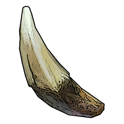Wolf Fang