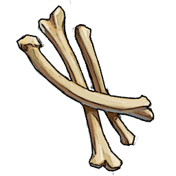 Bones