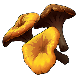 Lobster Mushroom