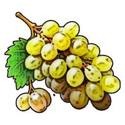 Grape