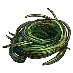 Plant Fiber