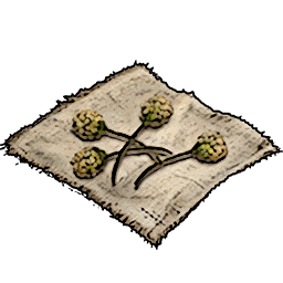 Shrub Seeds