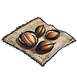 Palm Seeds