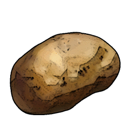 Sweet Potato