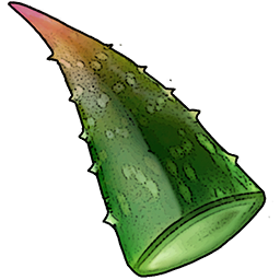 Aloe Leaf