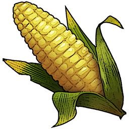 Corn