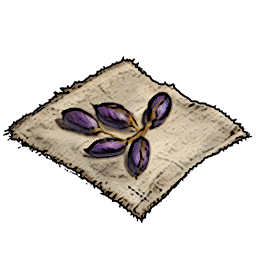 Healing Herb Seeds