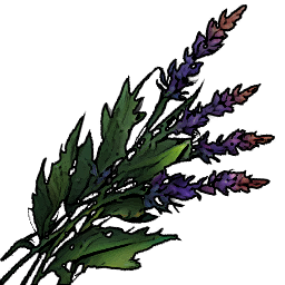 Healing Herbs