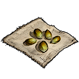 Lime Seeds
