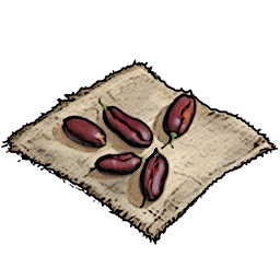 Bean Seeds