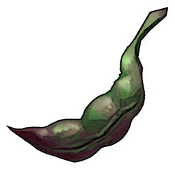 Beans