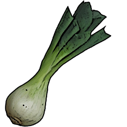 Leek